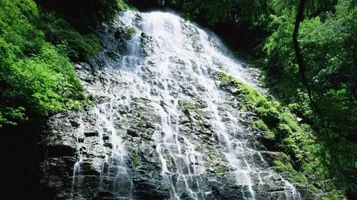 高标准高效